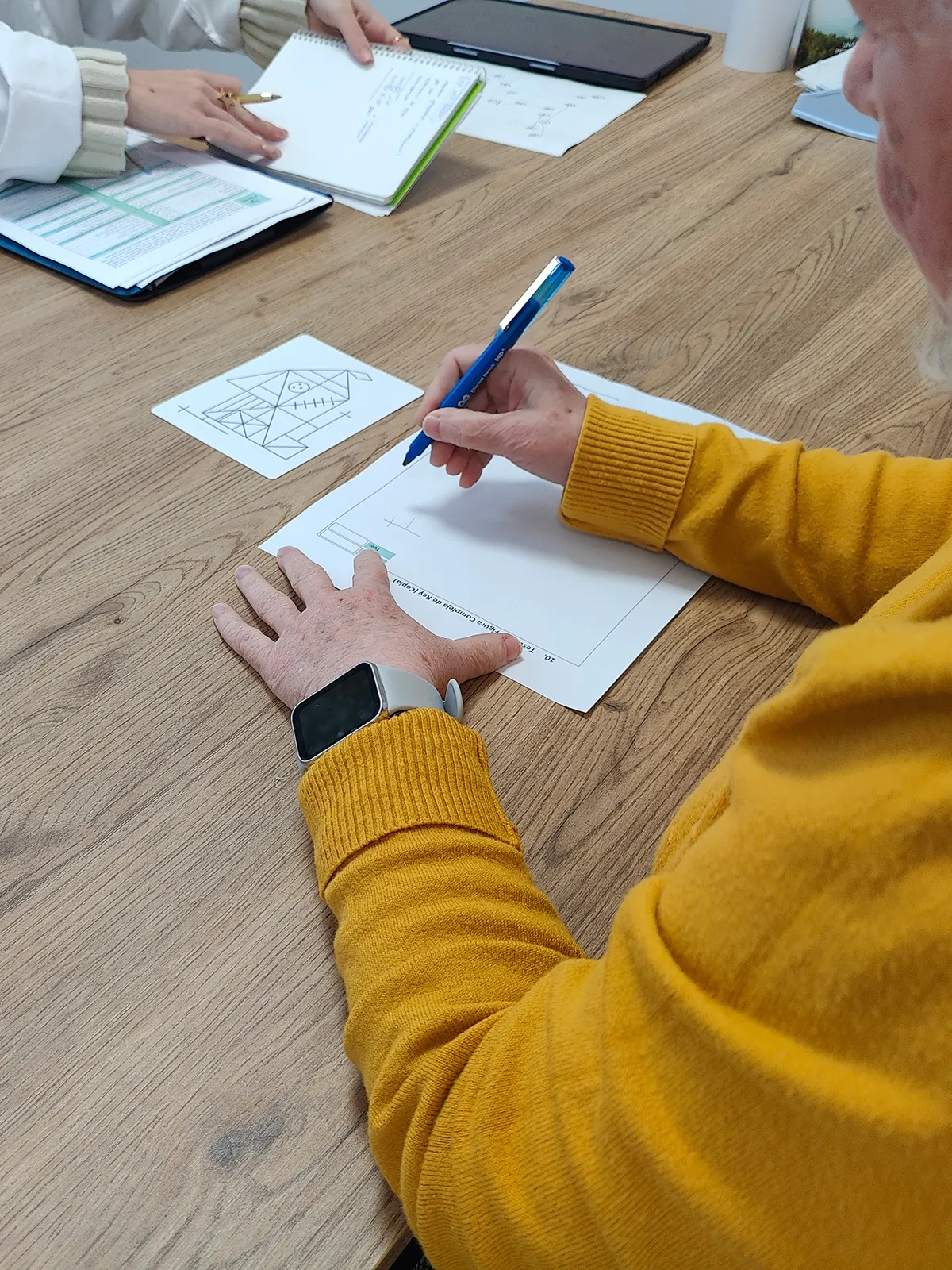Foto: sesión de rehabilitación del lenguaje con tarjetas de estimulación
