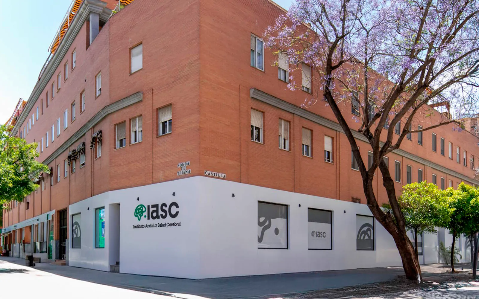 Foto: puesto de trabajo con registros de qEEG en el Instituto Andaluz de Salud Cerebral
